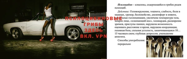 метадон Данков