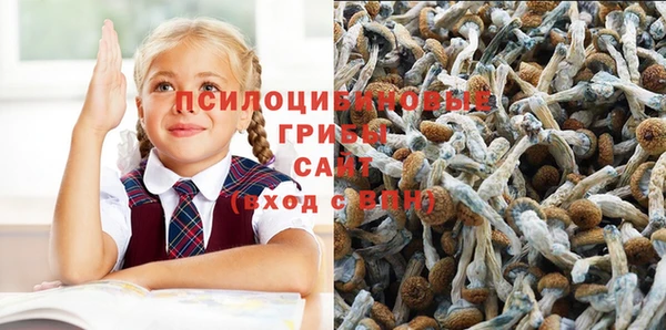 Альфа ПВП Богородицк