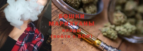 шишки Богородск