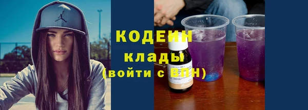 шишки Богородск