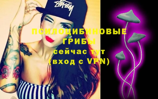 Альфа ПВП Богородицк