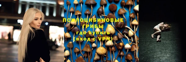 хмурый Богданович