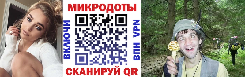 Галлюциногенные грибы мухоморы  shop наркотические препараты  Реж  ссылка на мегу как зайти 